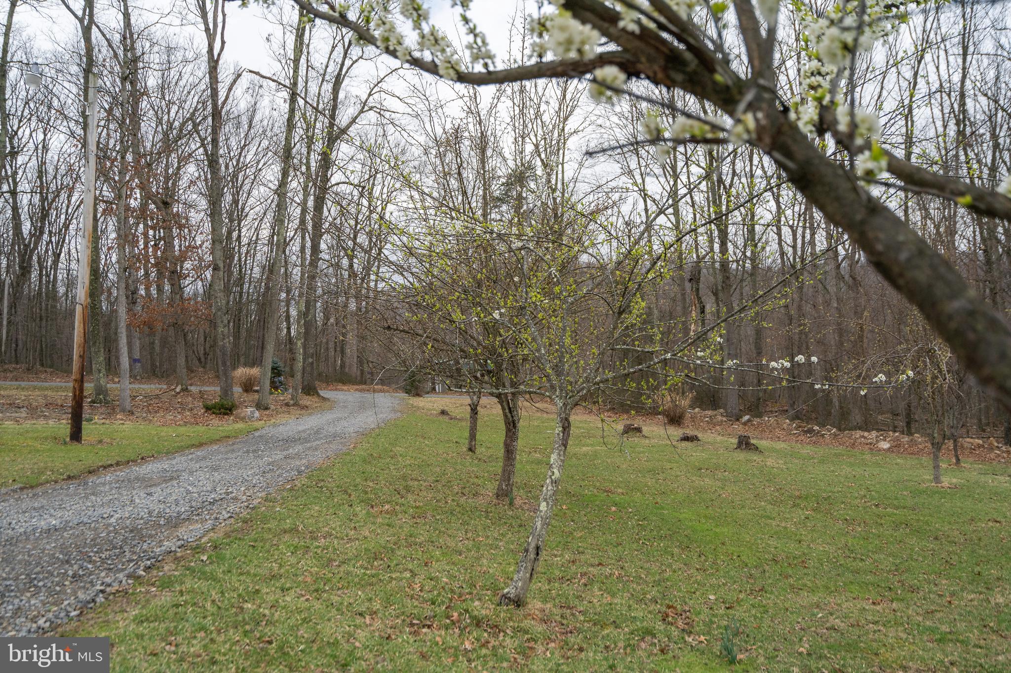 CAPON RIVER VISTA - Residential