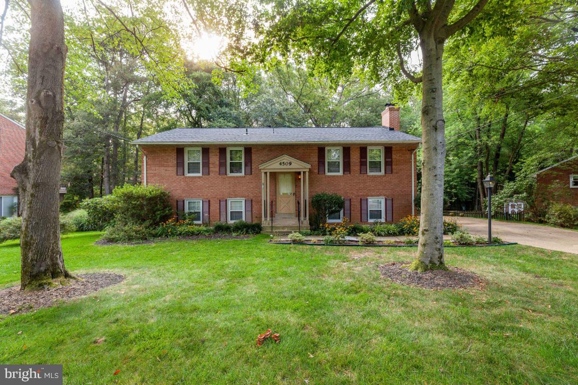 WILLOW WOODS - Residential