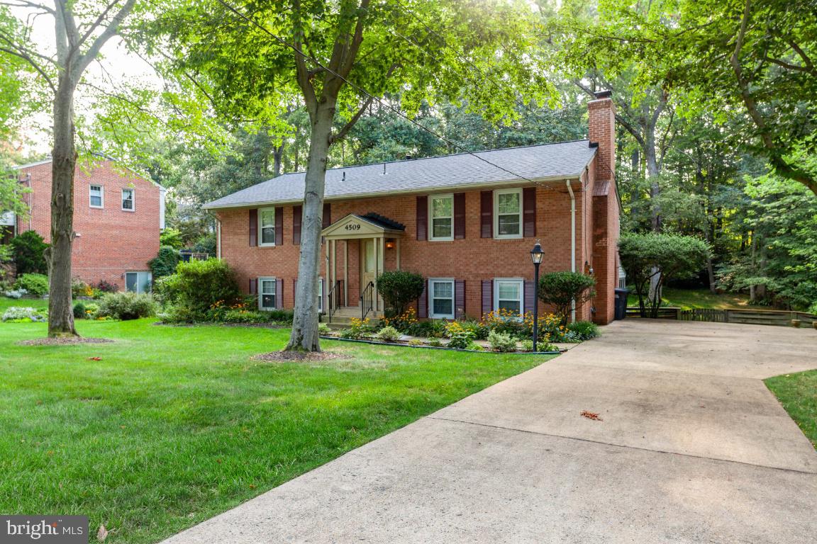 WILLOW WOODS - Residential