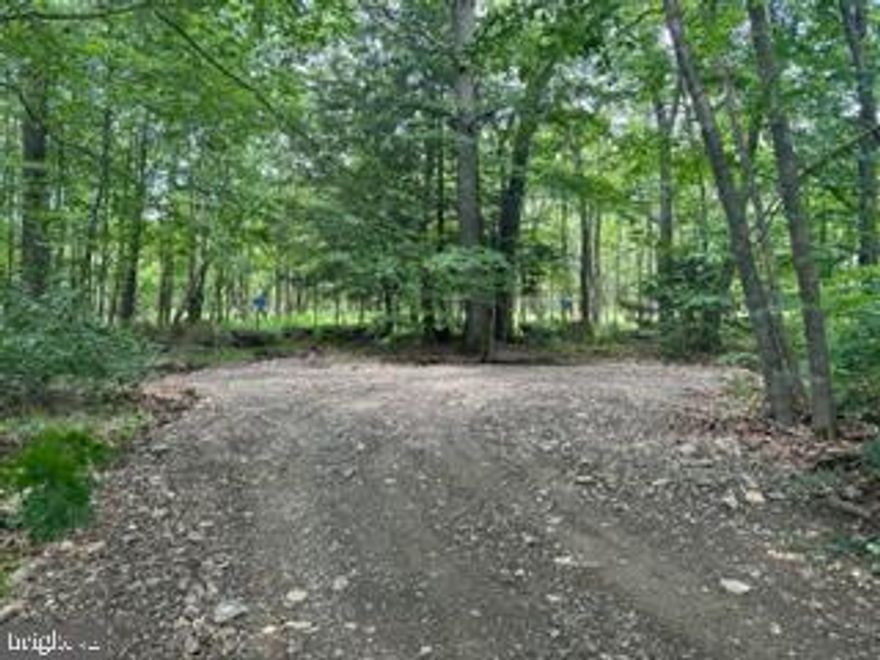 MT. STORM, WV – SPRUCE RIDGE SUBDIVISION (LOT 3) - 0.57/ACRE FULLY WOODED LOT (MATURE HARDWOOD) WITH “NO RESTRICTIONS”.  NEW DRIVEWAY INSTALLED, FRESHLY LANDSCAPED, BACKS TO VEPCO LAND (NO NEIGHBORS IN REAR), PERC APPROVED, FOLLOW MAIN ROAD AND DRIVE STRAIGHT TO VEPCO LAKE (LOT IS WITHIN WALKING DISTANCE TO LAKE).   PERFECT LOCATION FOR THAT WEEK-END RETREAT OR FAMILY HOME…. THE CHOICE IS YOURS. CALL FOR VIEWING.