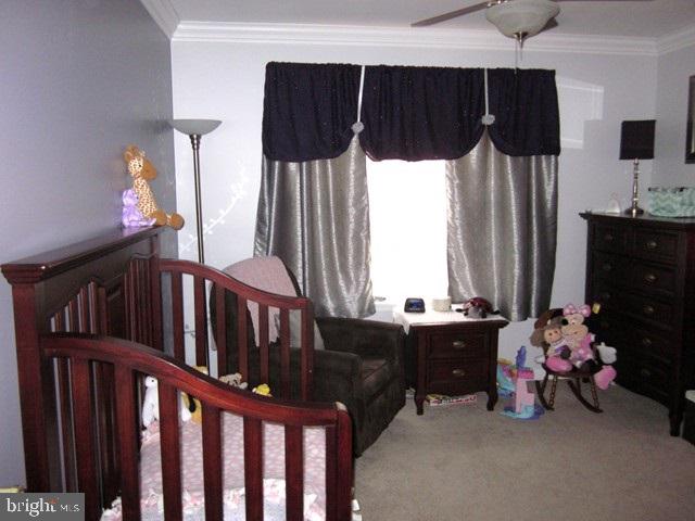 LOMBARD PINES - Residential