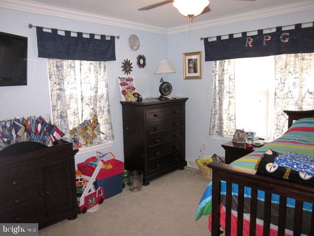 LOMBARD PINES - Residential