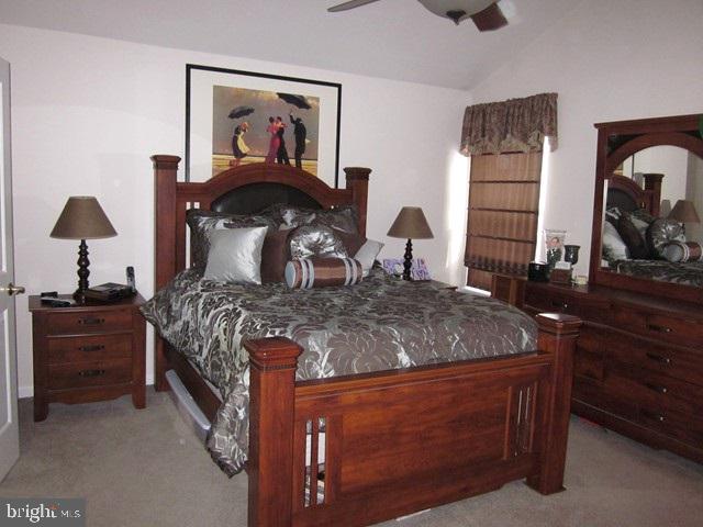 LOMBARD PINES - Residential