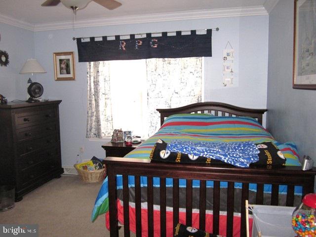 LOMBARD PINES - Residential