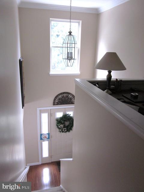 LOMBARD PINES - Residential