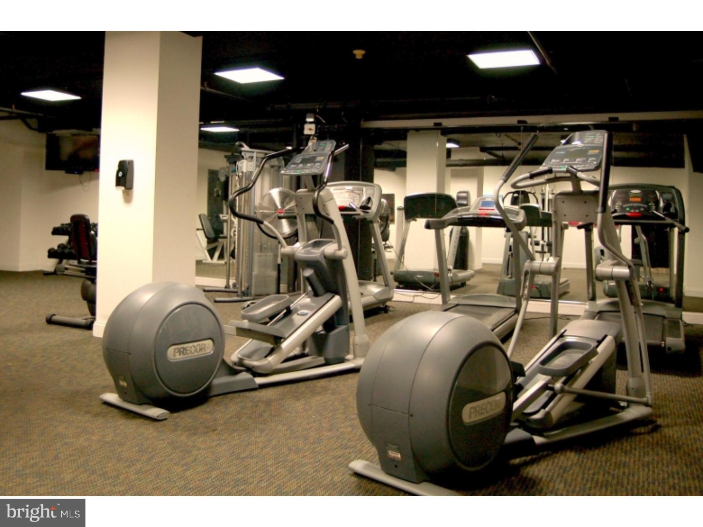 1411-5 WALNUT STREET 1002