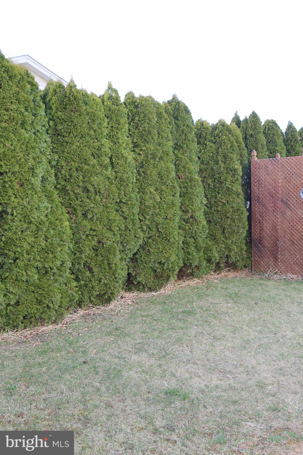 SOUTHFIELD CROSSING - Residential