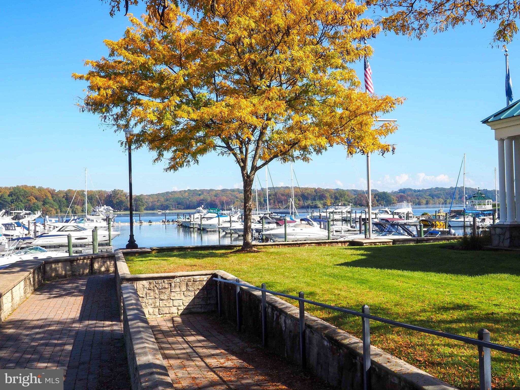 BELMONT BAY - Residential