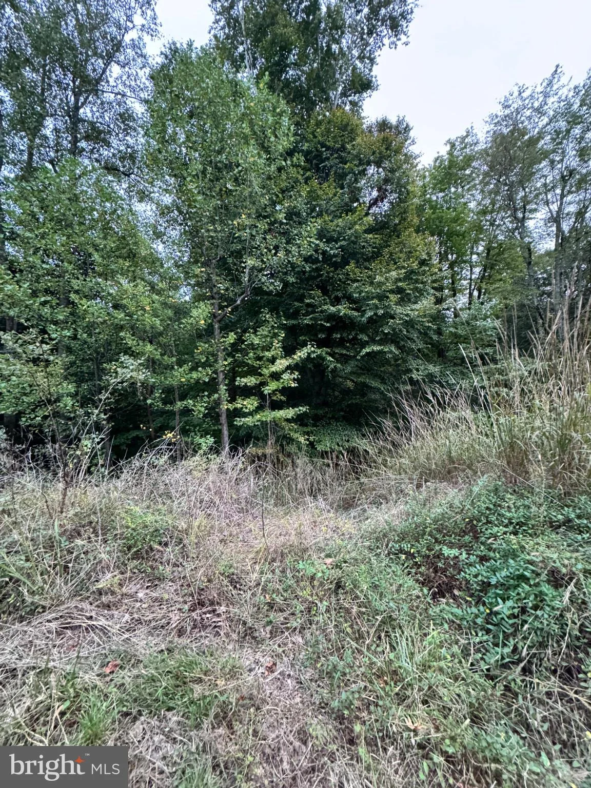 151 S Independence Drive