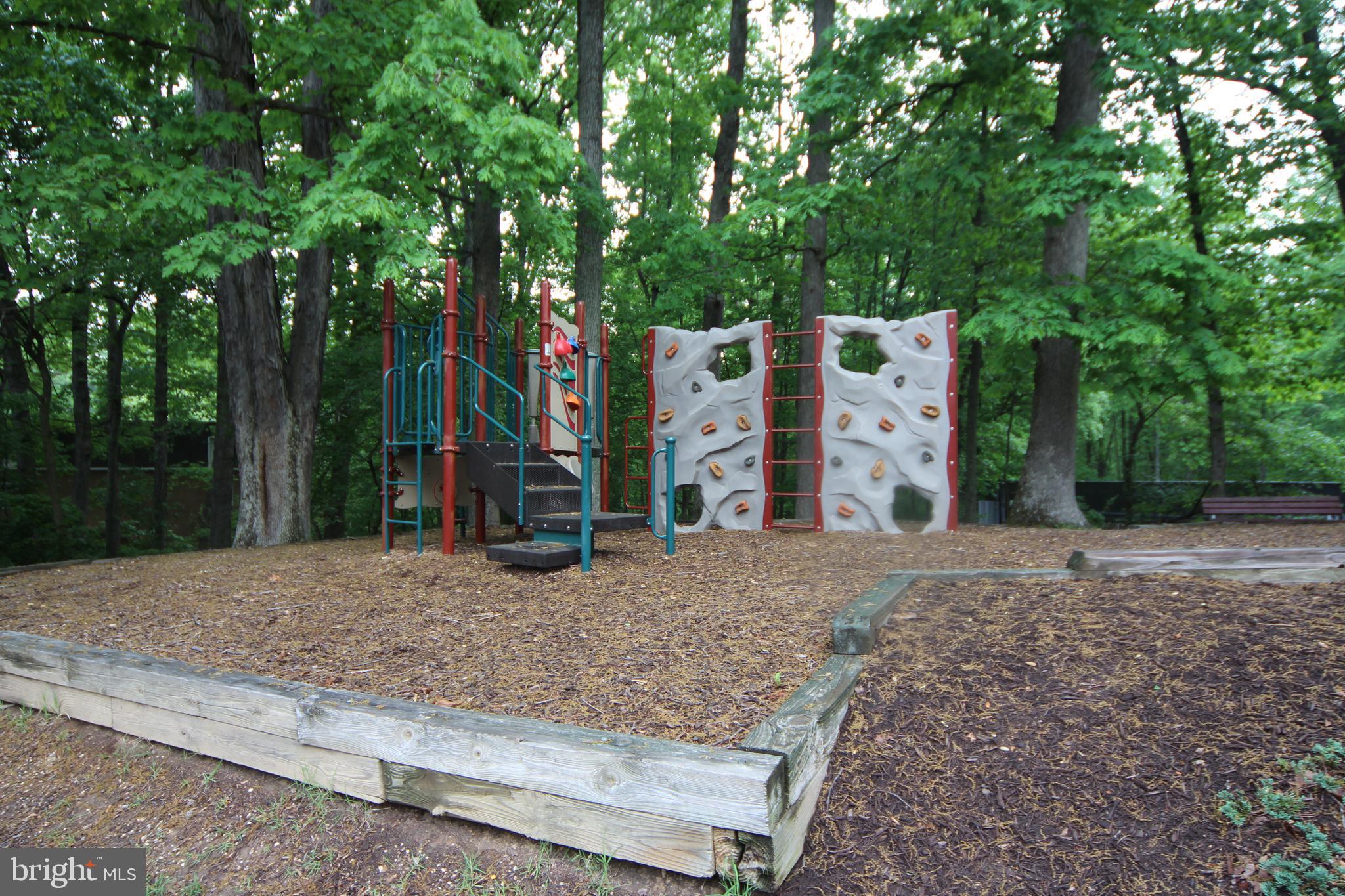 CARDINAL FOREST - Residential Lease