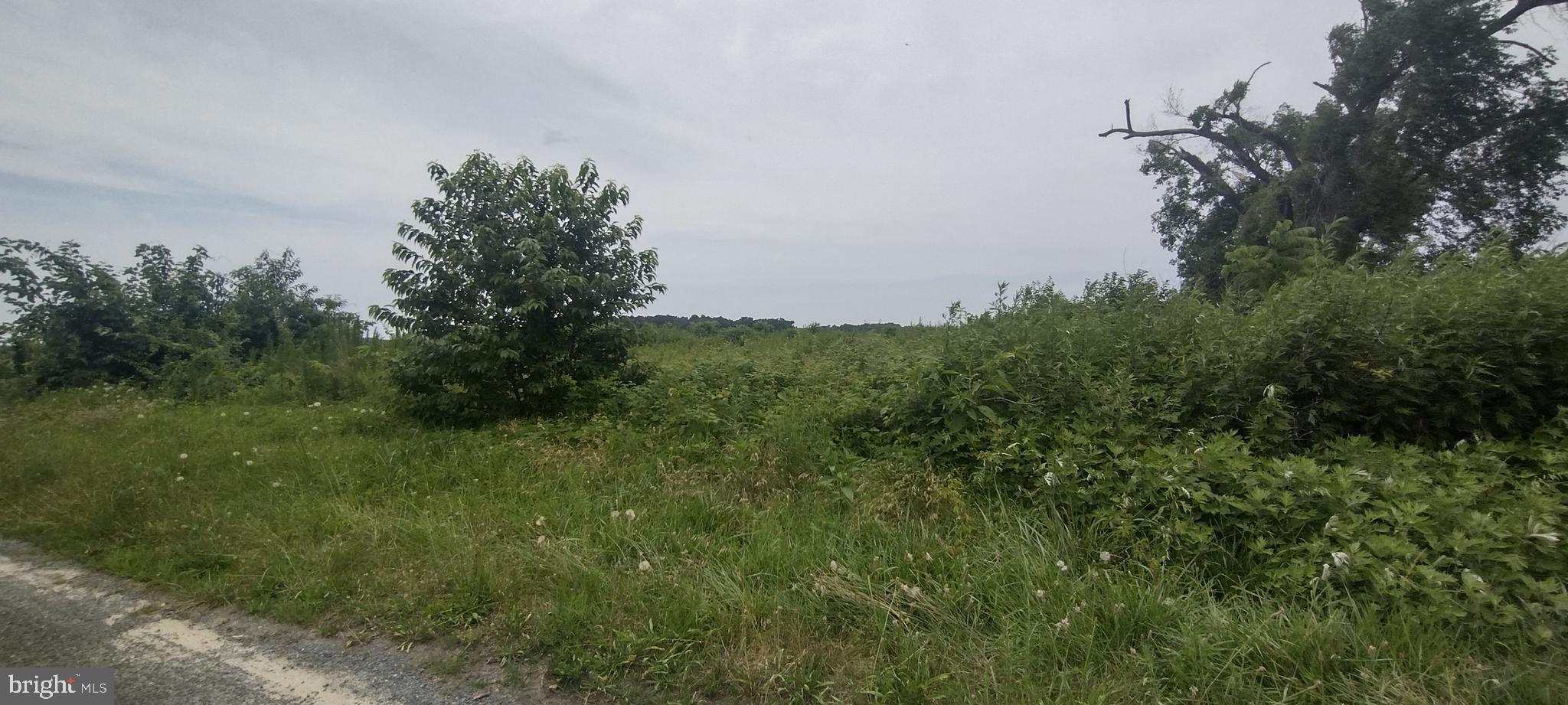 5536 GALESTOWN