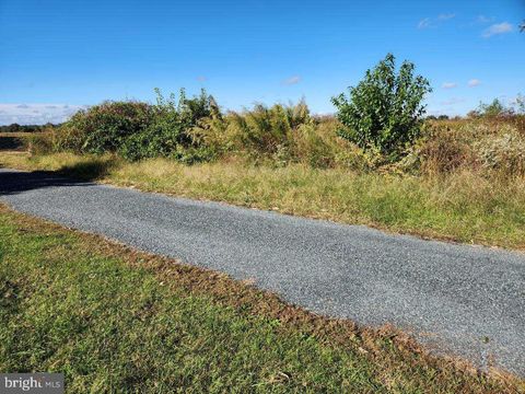 5536 GALESTOWN GALESTOWN MD 21659