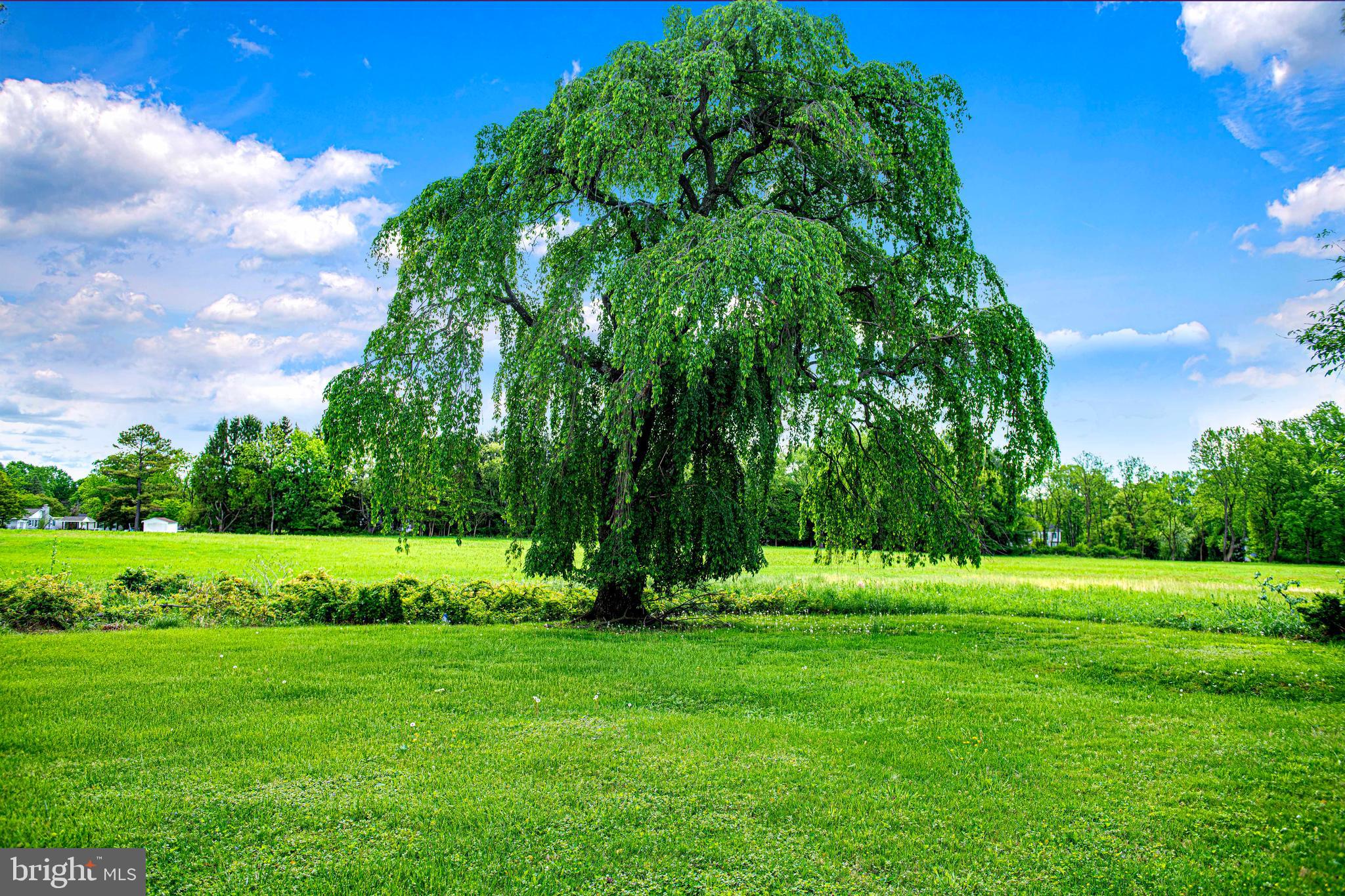 KINGSVILLE - Residential