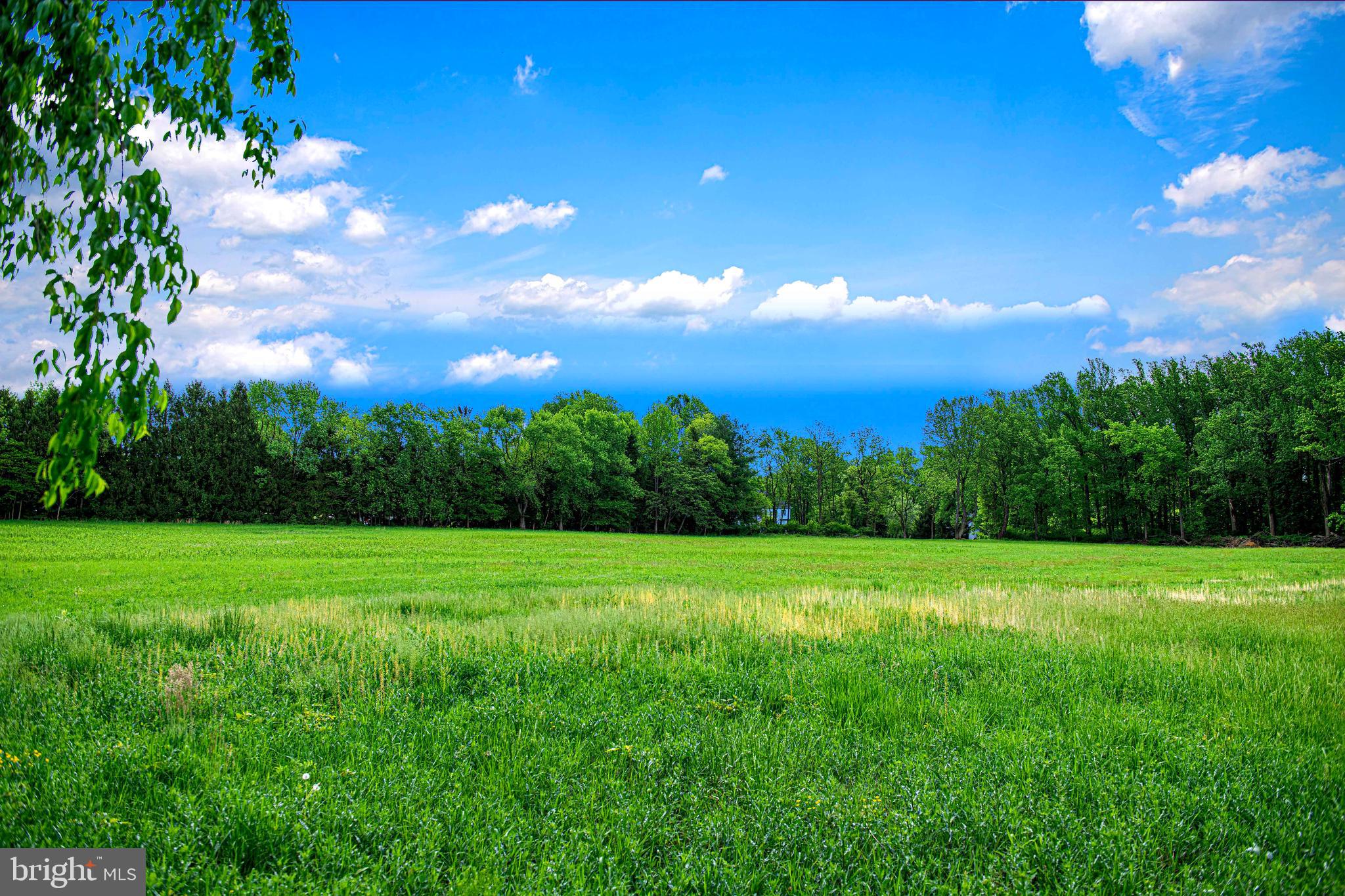 KINGSVILLE - Residential