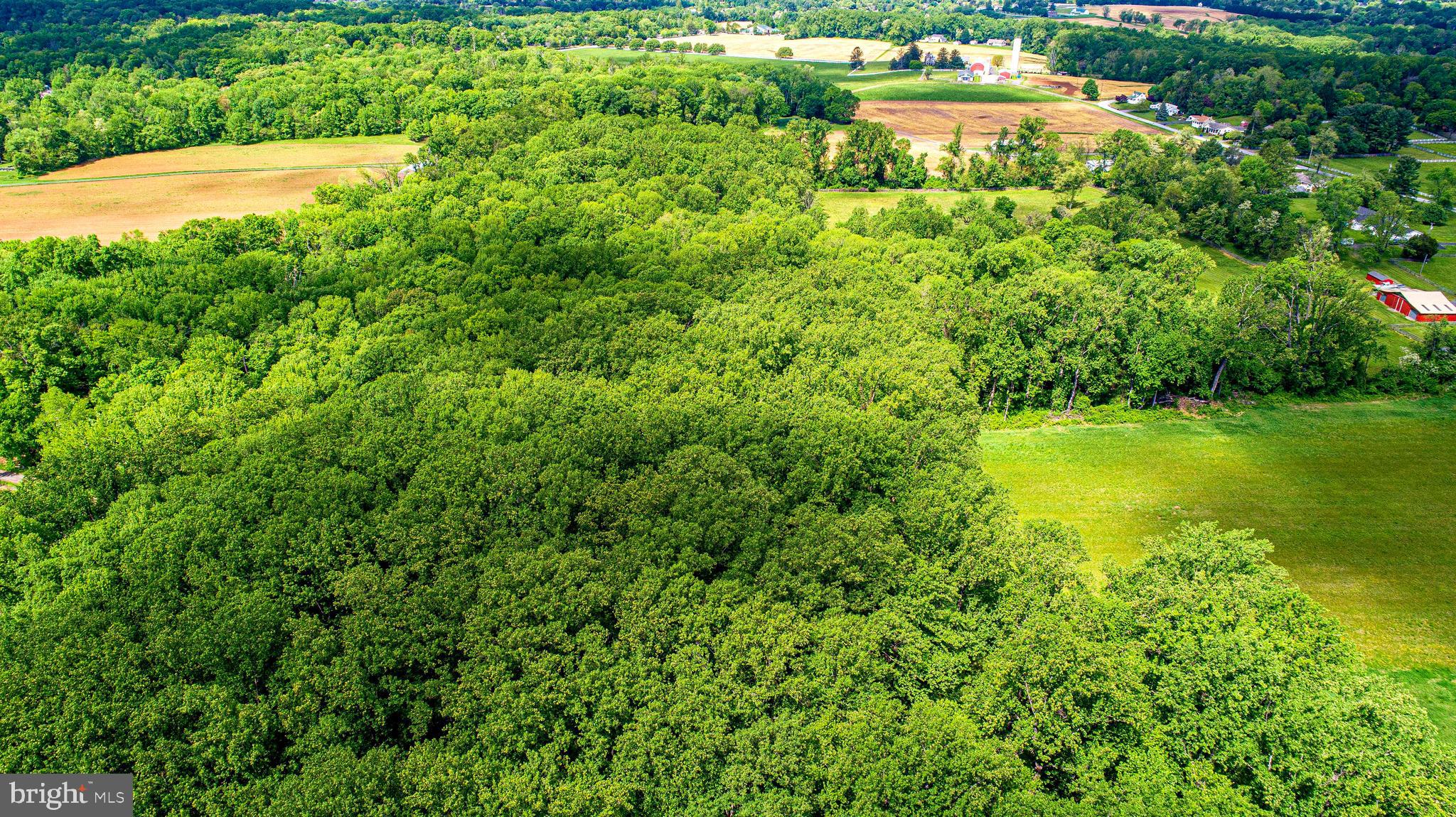 KINGSVILLE - Residential