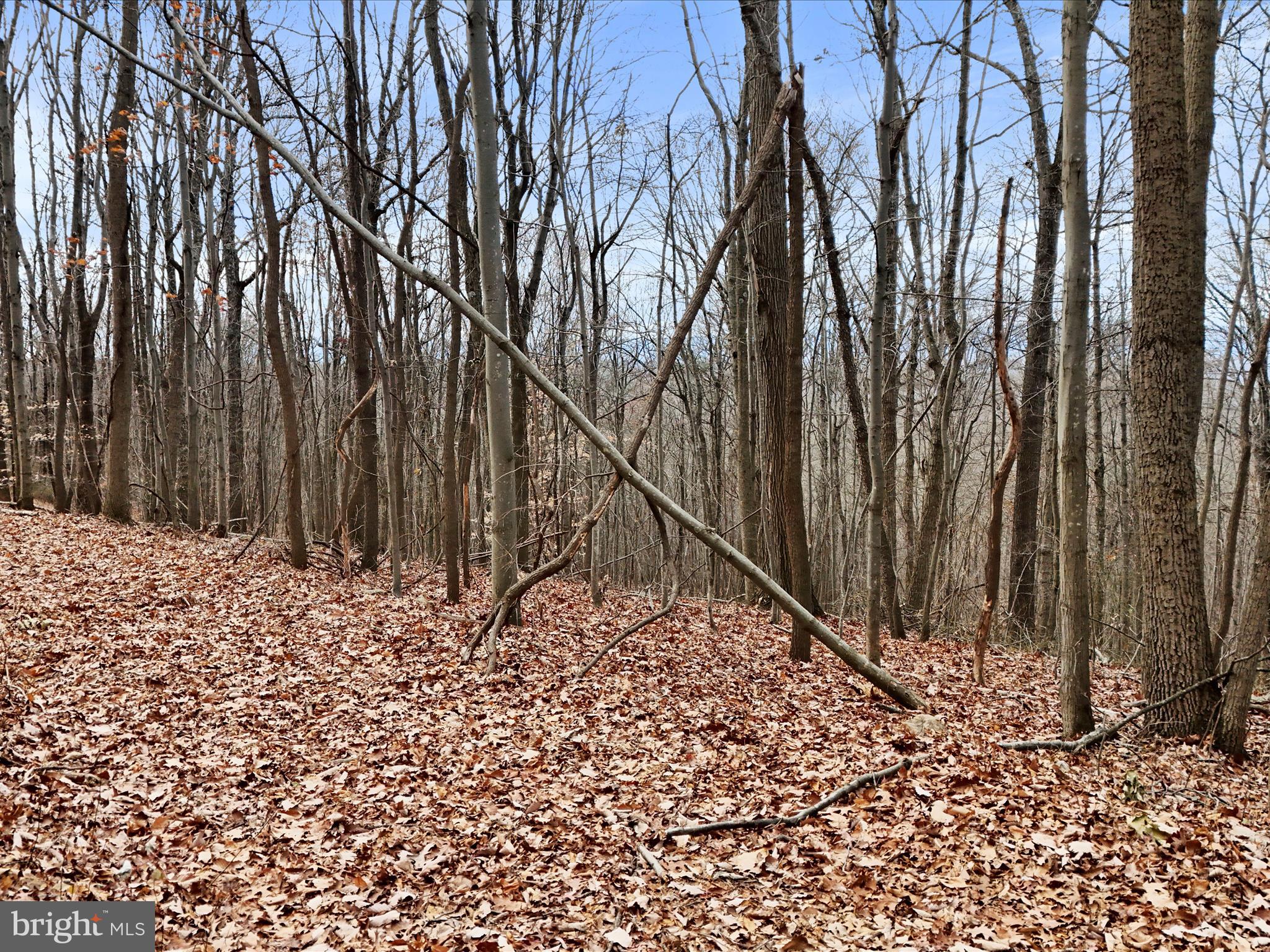 NONE AVAILABLE - Land