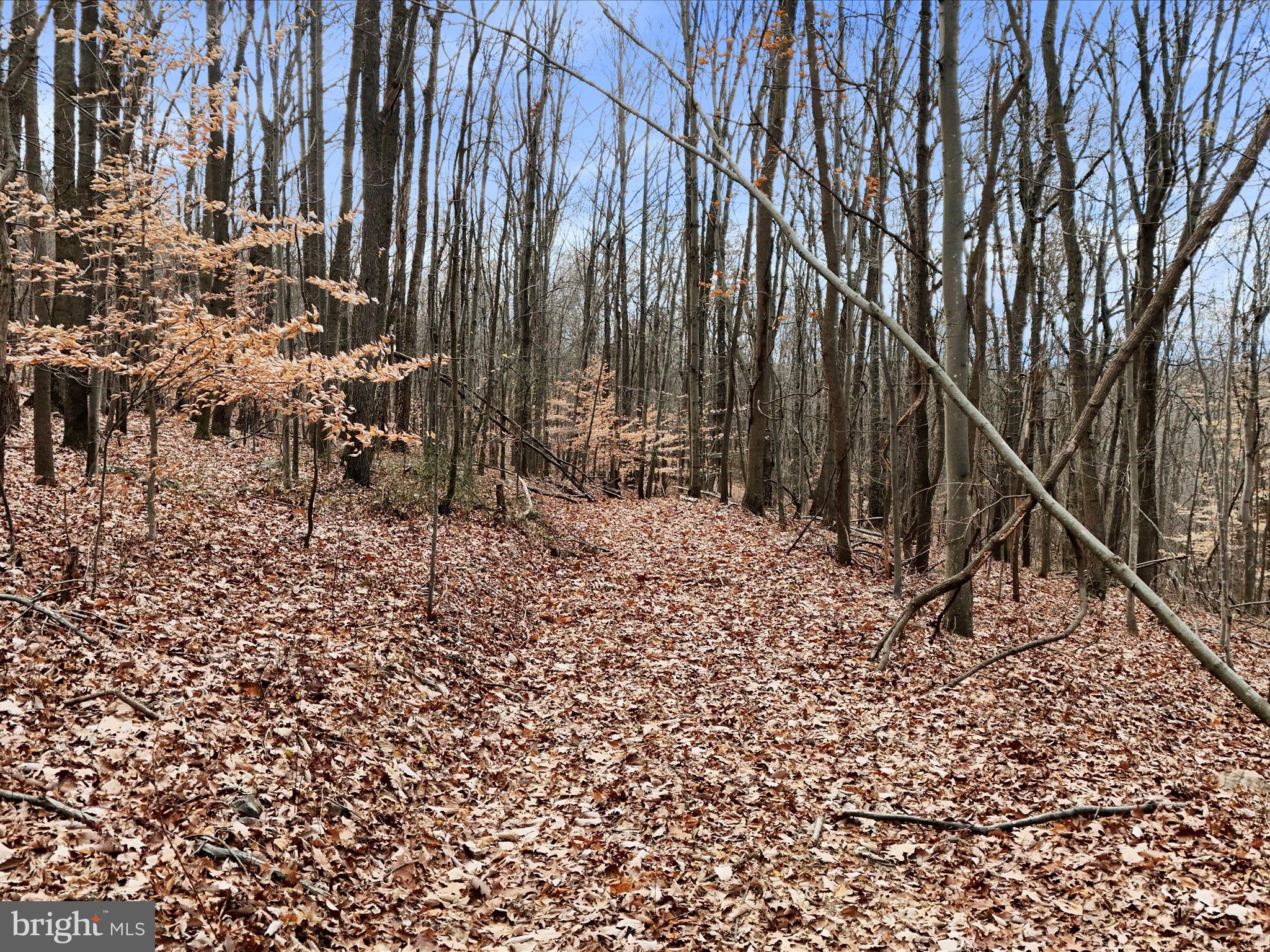 NONE AVAILABLE - Land