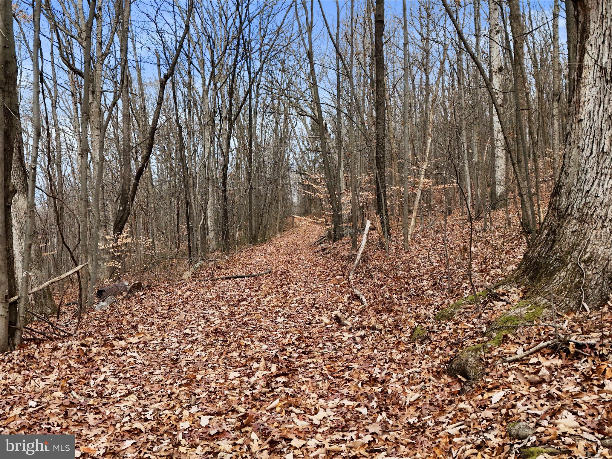 NONE AVAILABLE - Land