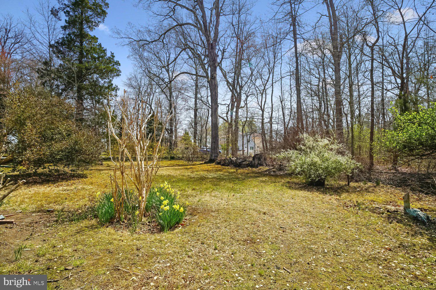 NORTH BEACH PARK - Residential