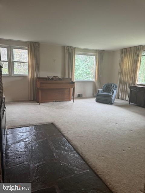 HEITMULLER ESTATES - Residential