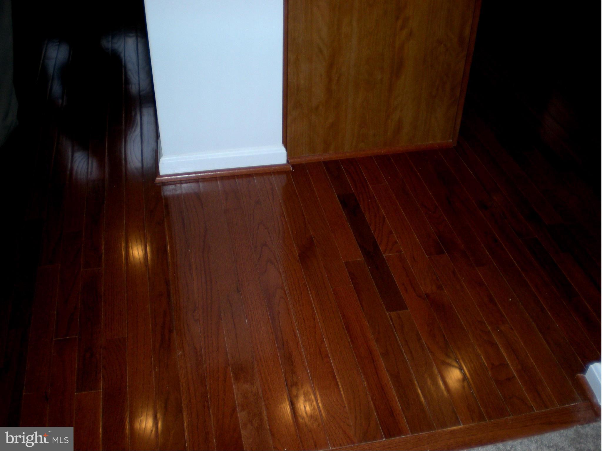 HASTINGS MARKETPLACE - Residential Lease