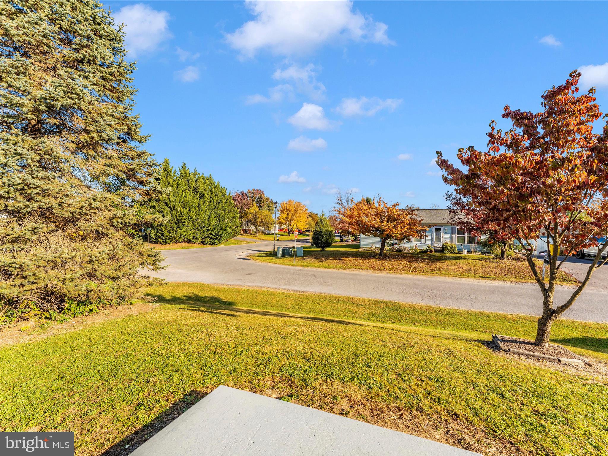 SPRINGFIELD VILLAGE - Residential