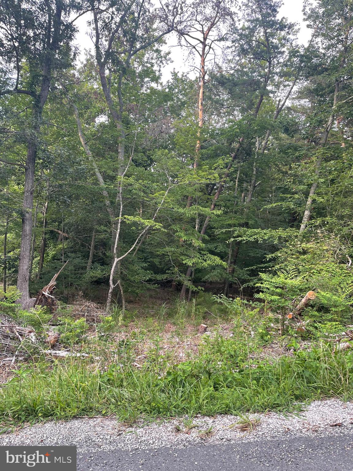 .33 Acre Lot available in Chesapeake Ranch Estates.