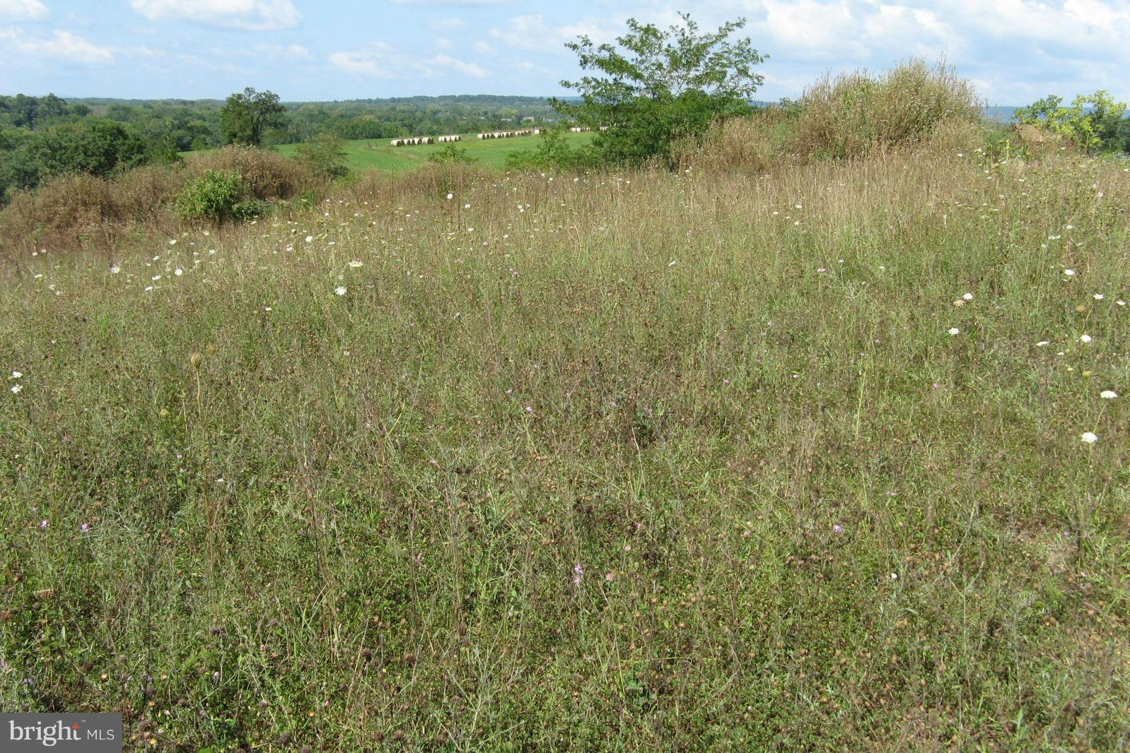 MORNING DOVE ESTATES - Land