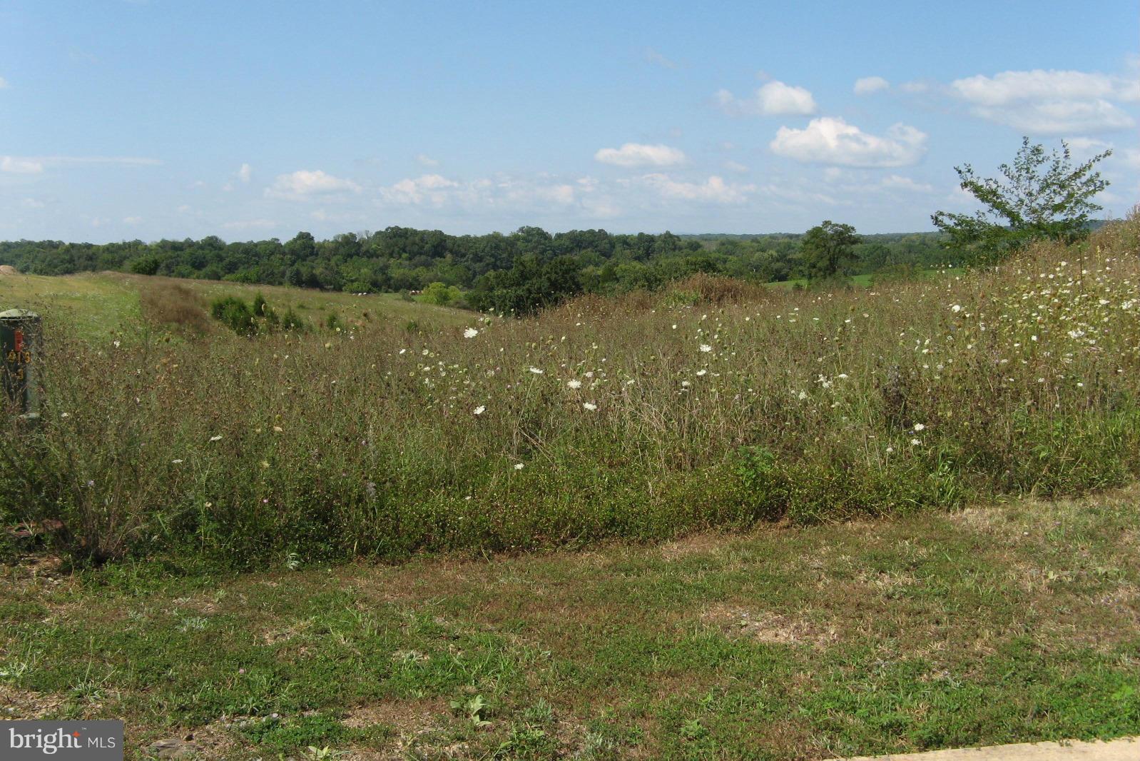 MORNING DOVE ESTATES - Land