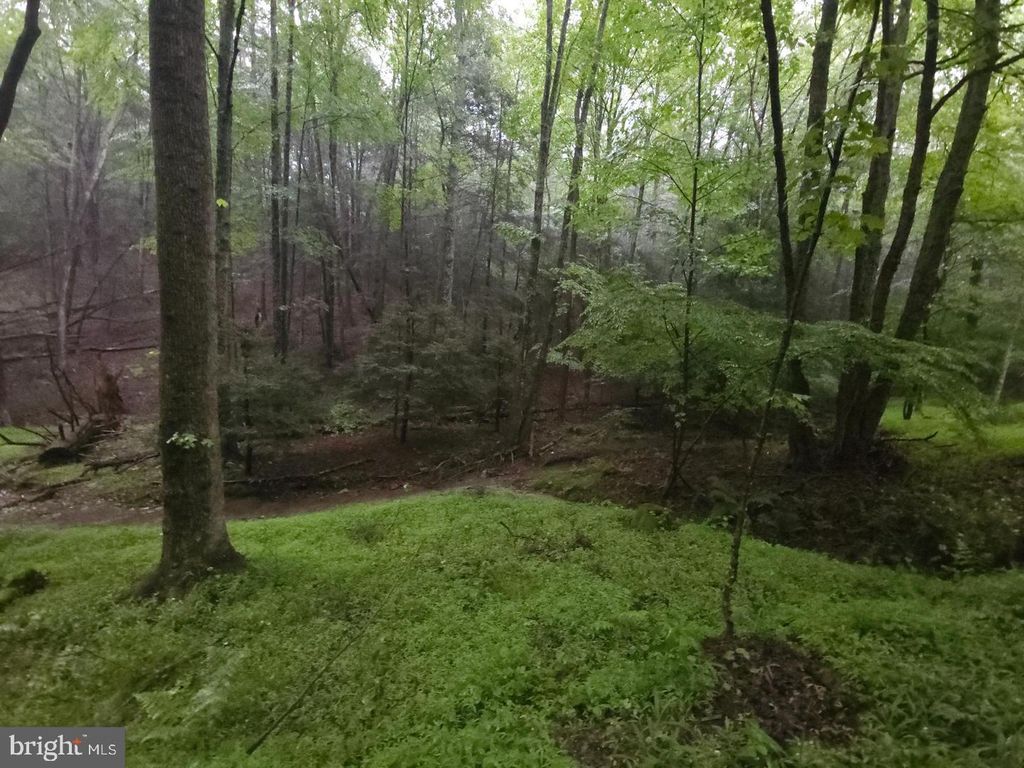 Photo of 0 Spriggle Road, ELLIOTTSBURG, PA 17024 (MLS # PAPY2008808)