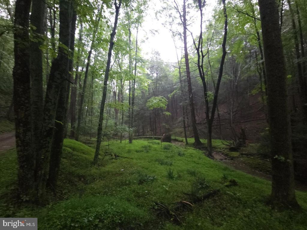 Photo of 0 Spriggle Road, ELLIOTTSBURG, PA 17024 (MLS # PAPY2008808)