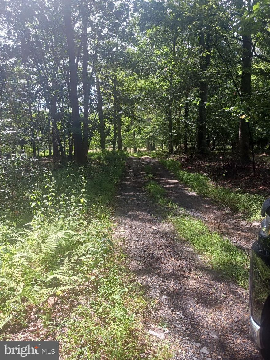 Check out this nice piece of Land! Near Koons Dam. Small stream running through the property. Mostly level.  All wooded. Would make a nice building location for your new home.