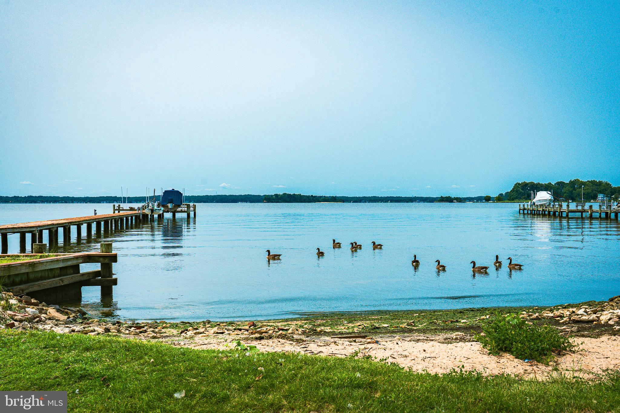 LONG POINT ON THE MAGOTHY - Residential