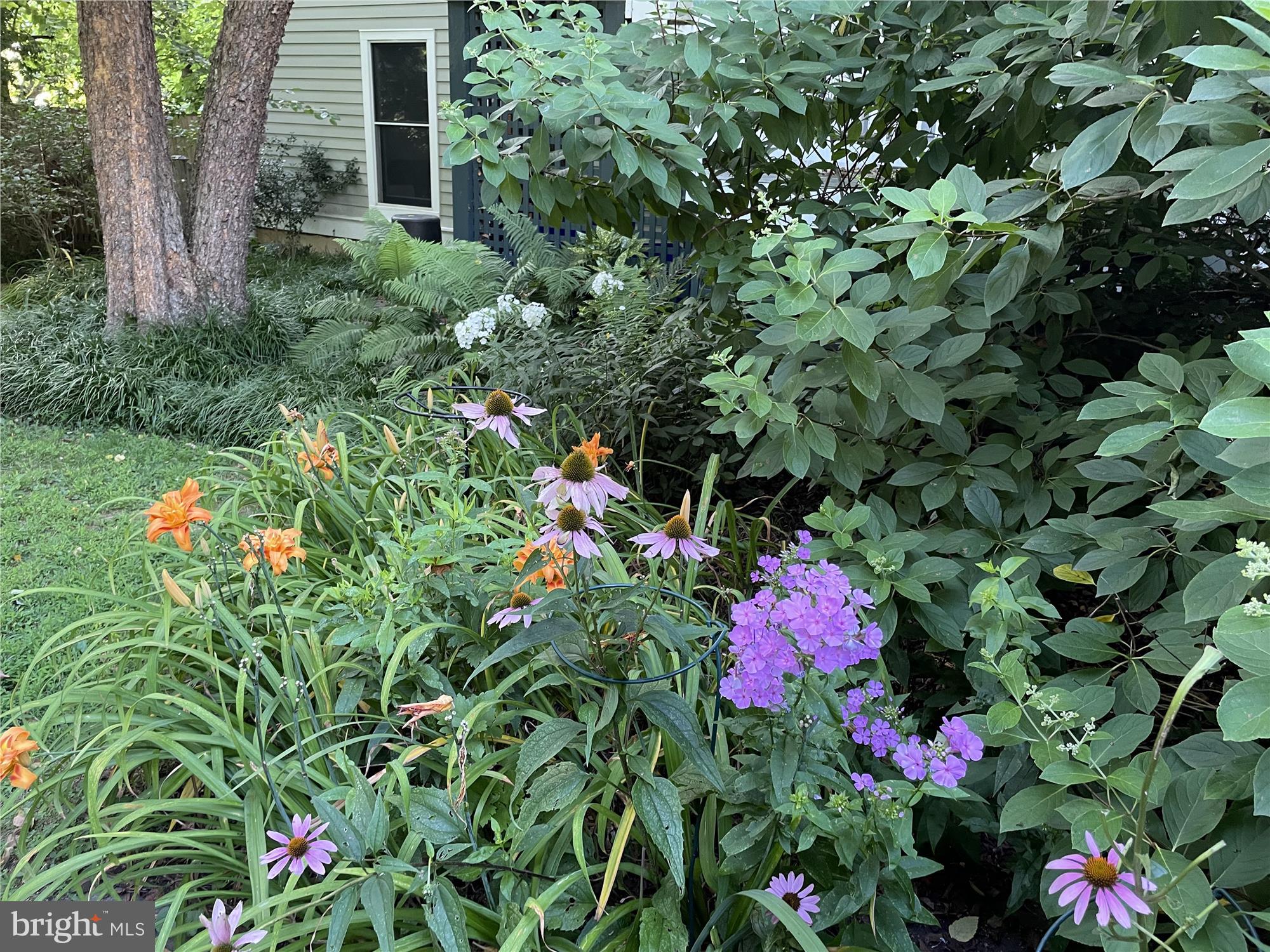 GARRETT PARK - Residential