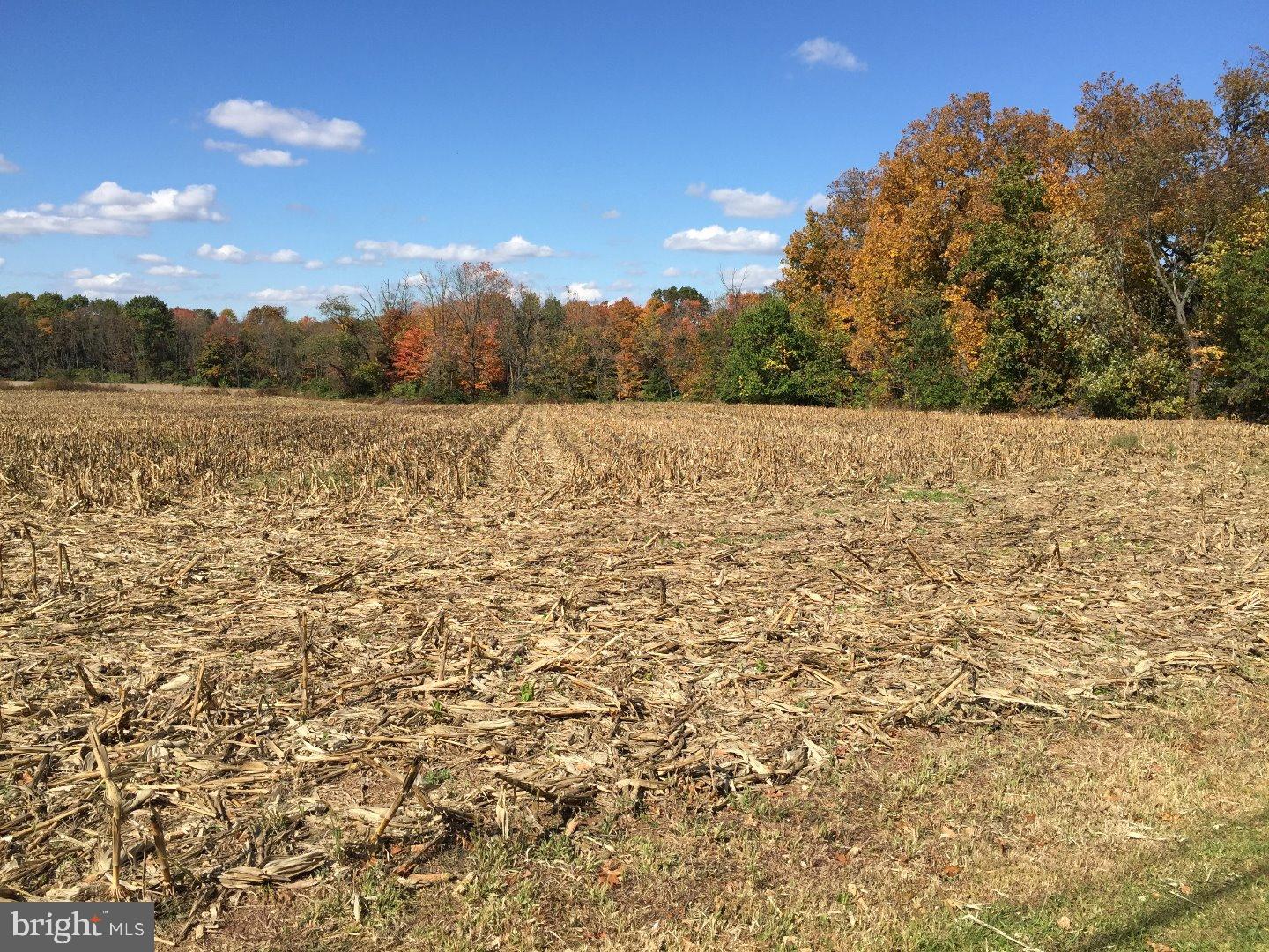 NONE AVAILABLE - Land