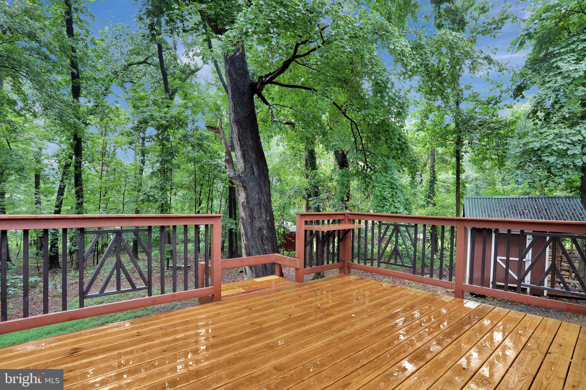 SHANNONDALE - Residential