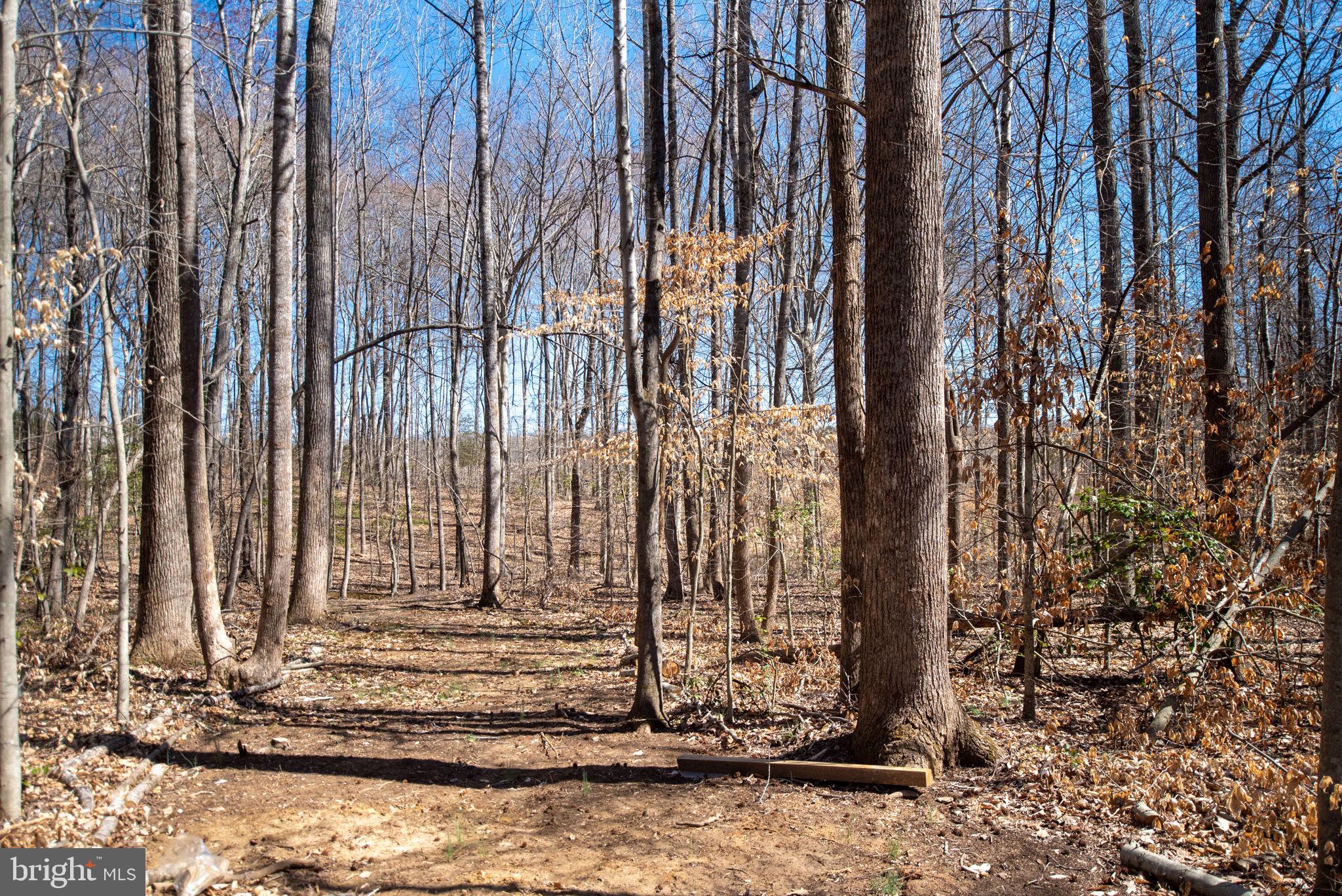 STAFFORD ESTATES - Residential