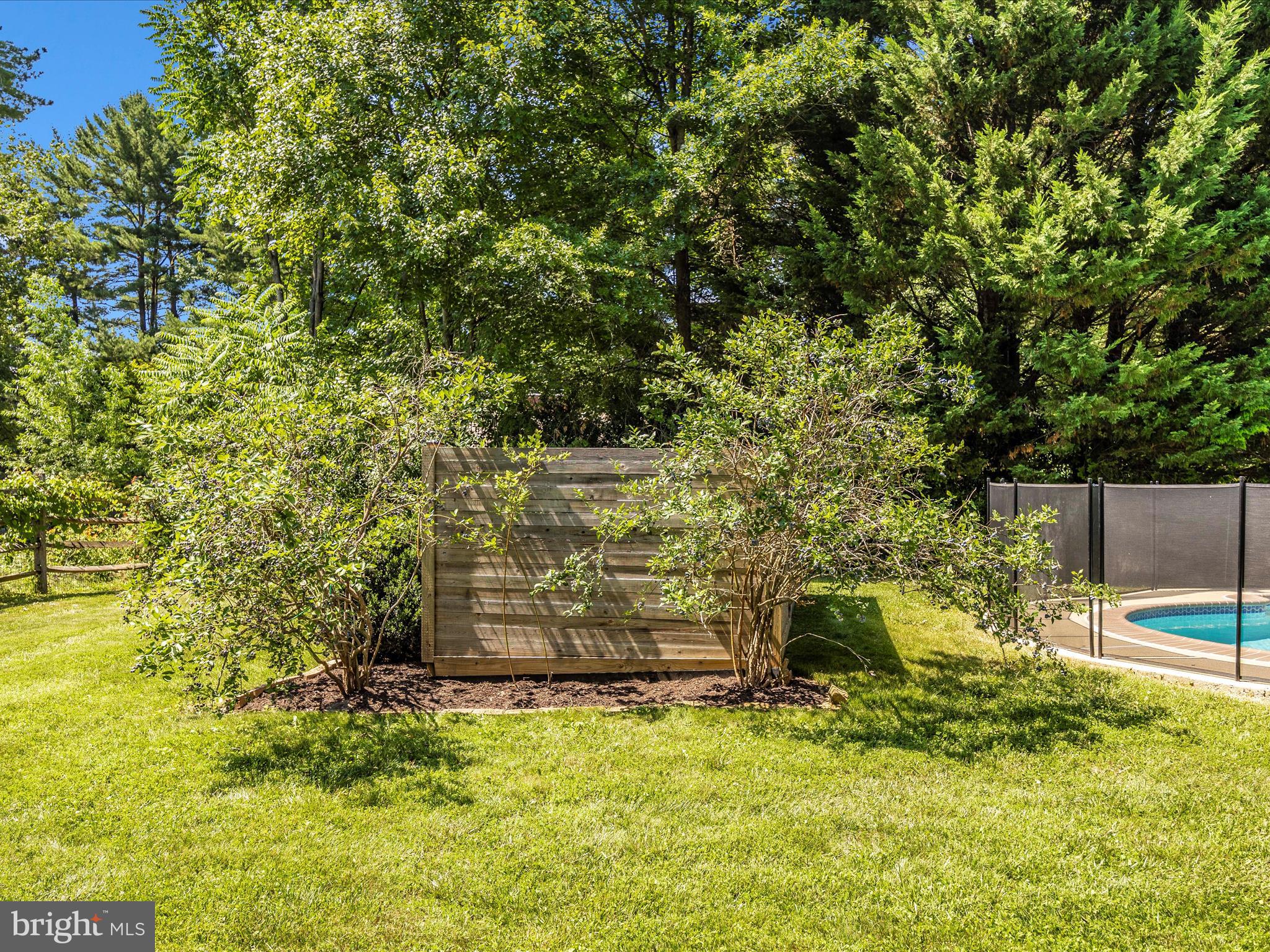 ANCIENT OAK - Residential