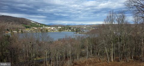 Vacant Land For Sale - Timber Ridge Road #10<br/> MC HENRY, MD 21541