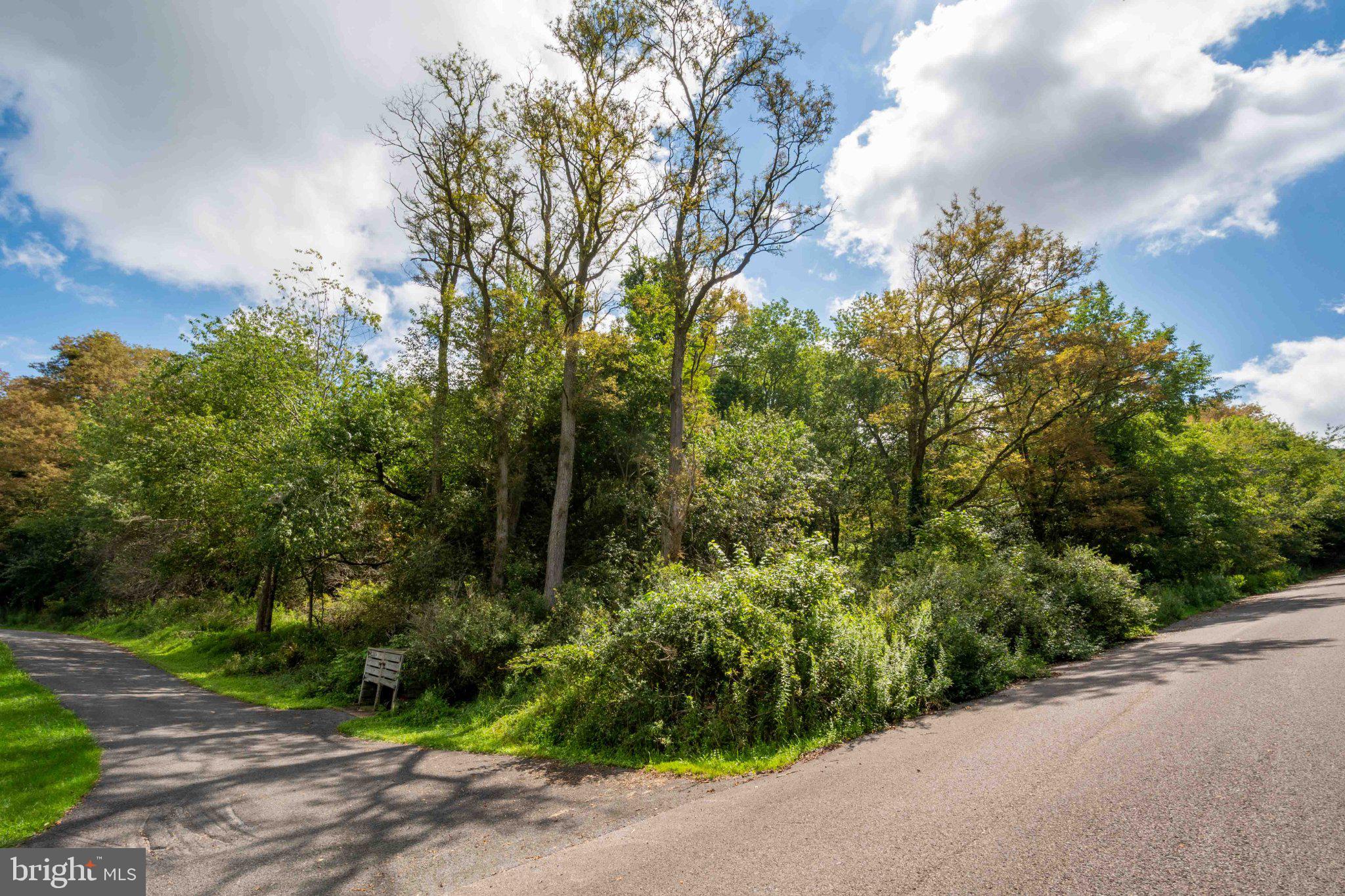 TIMBER RIDGE ROAD 10
