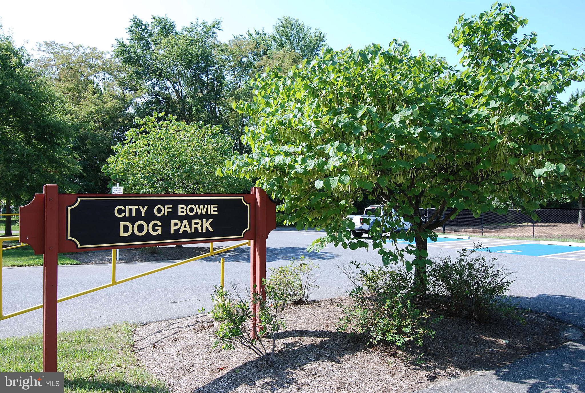 BUCKINGHAM AT BELAIR - Residential