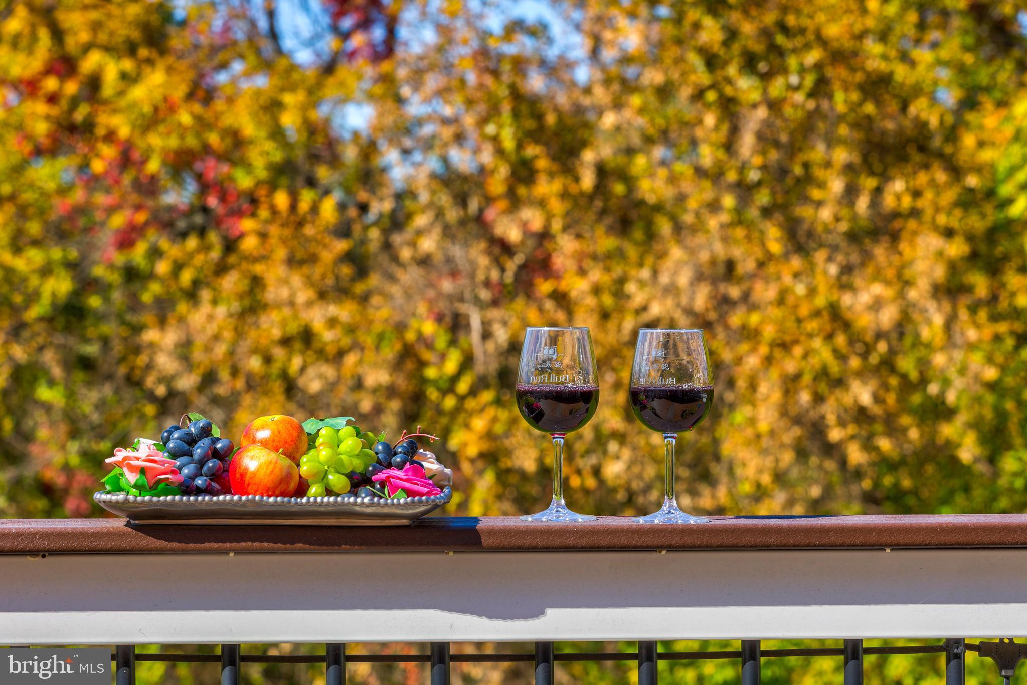 LOUDOUN VALLEY ESTATES 2 - Residential