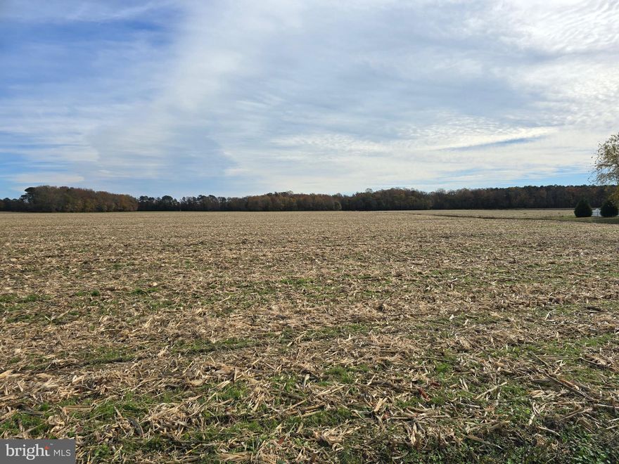A Rare opportunity to own over 68 acres of Land in Eastern Wicomico County. This property is northwest of the Town of Willards and consists of approx 50 acres of tillable land with the balance in woodland. It is situated on the east side of Richardson Road approx 1 1/2 miles from Rt 346(Old Ocean City Rd) There are no conservation easements of any kind on this property, making it a basically a blank slate for you to decide how to utilize it.