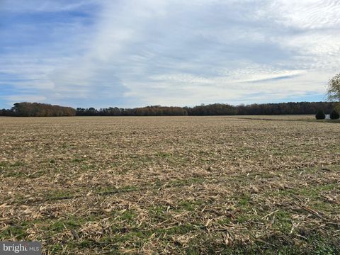 0 RICHARDSON ROAD WILLARDS MD 21874