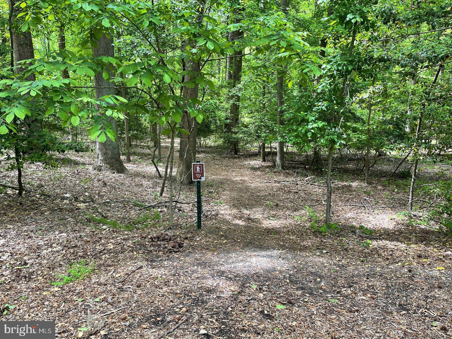 BAY RIDGE - Residential