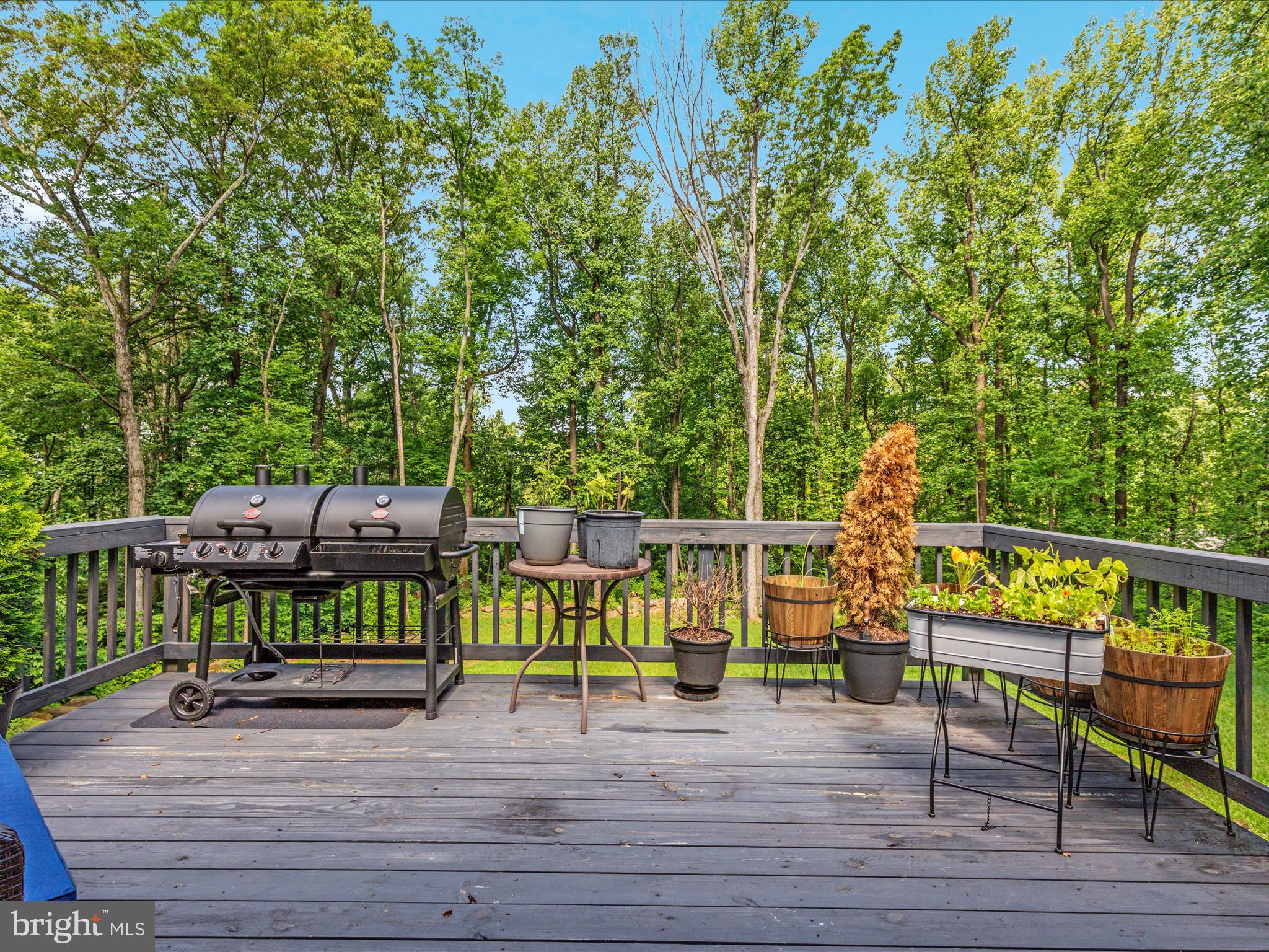 BLUE MOUNTAIN - Residential