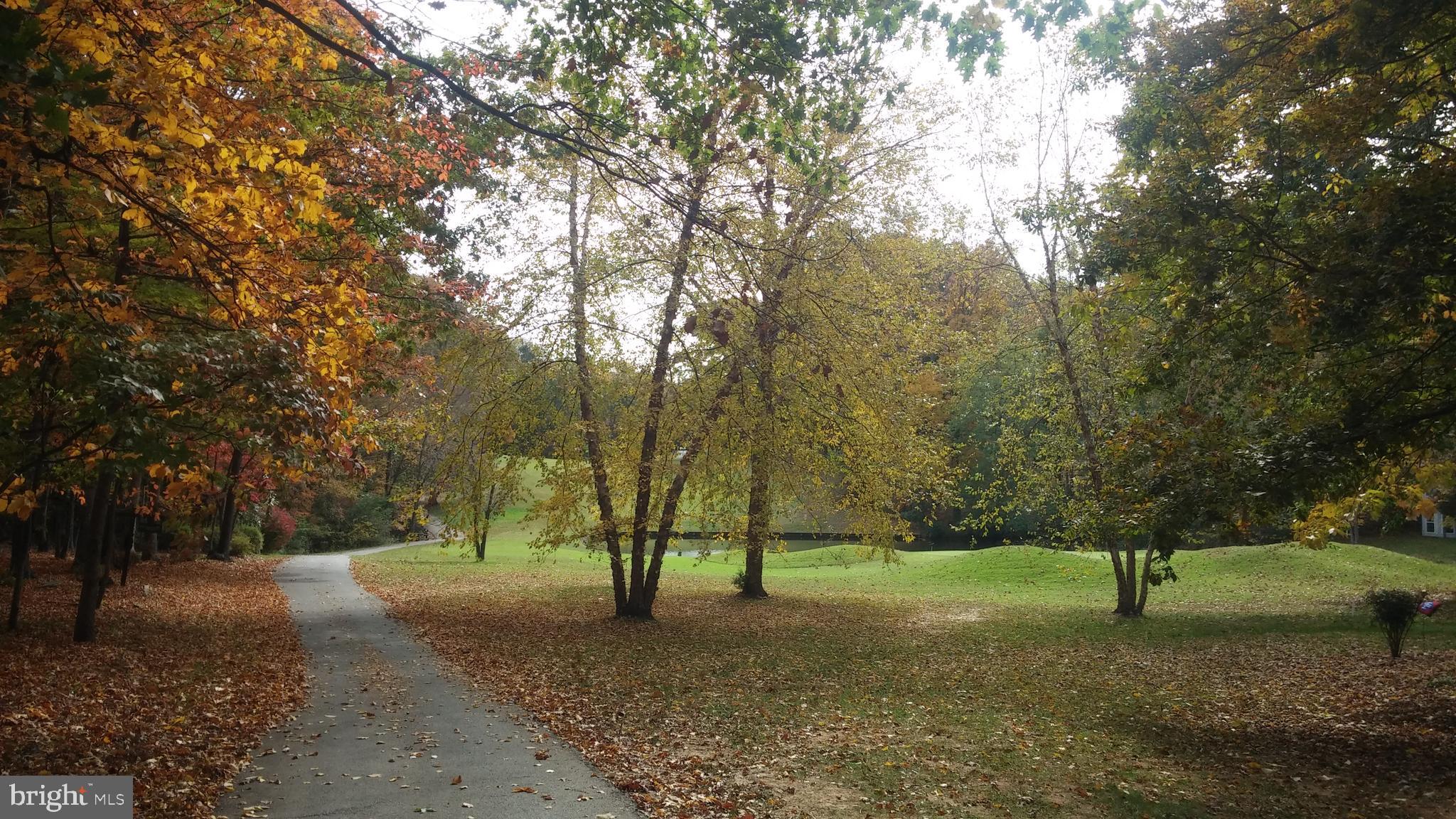 LAKE OF THE WOODS - Residential