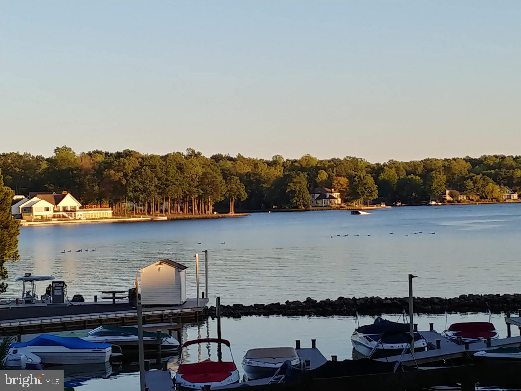 LAKE OF THE WOODS - Residential