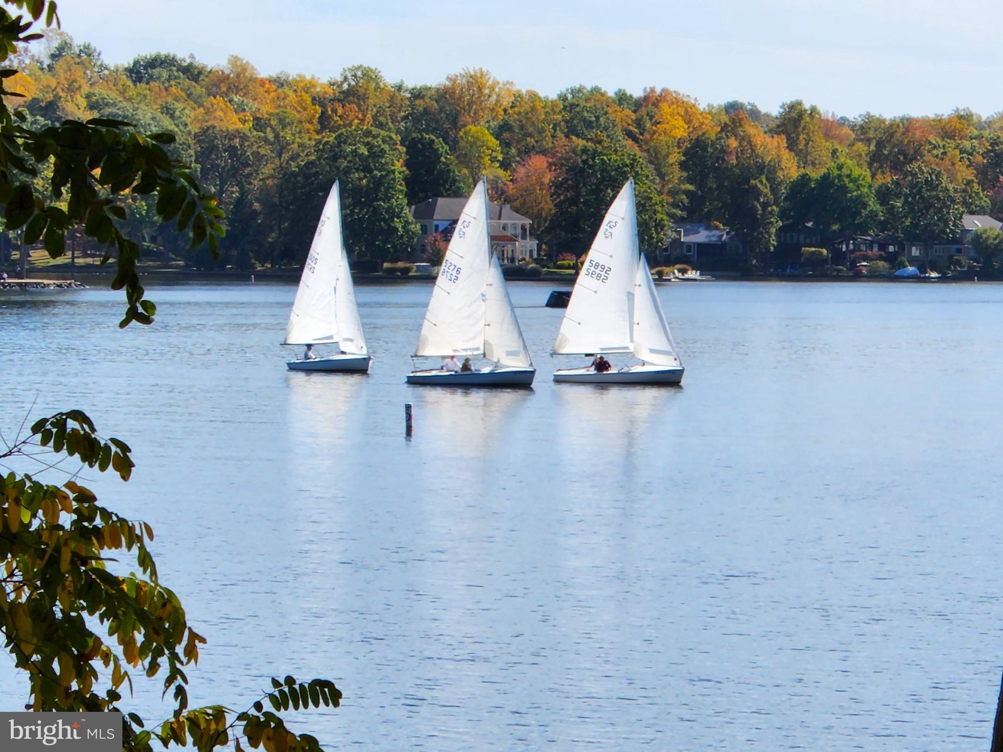LAKE OF THE WOODS - Residential
