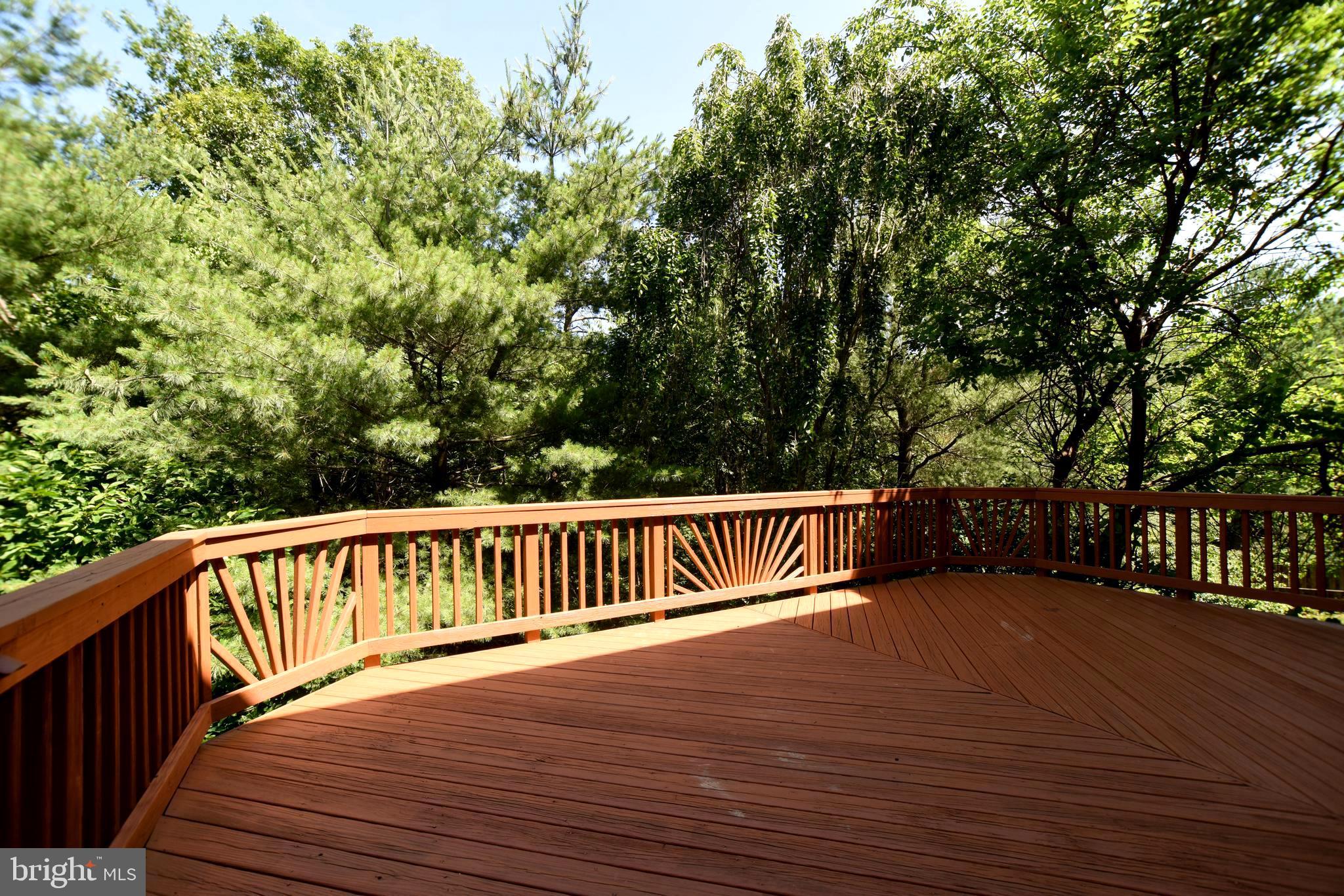 POTOMAC HUNT - Residential